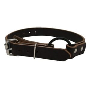 Buckingham Foot Strap