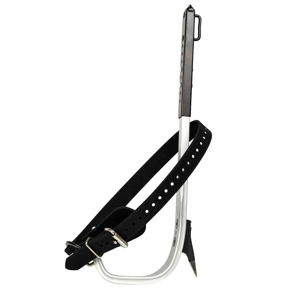 Buckalloy climber