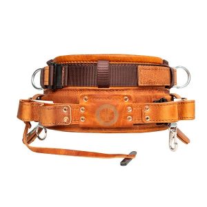 Short Back Body Belt