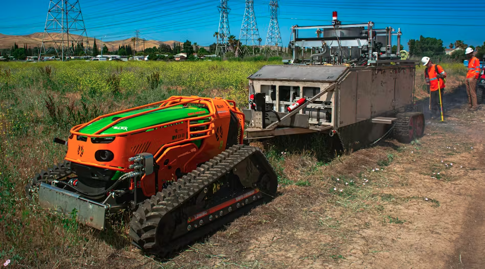 Reduce Wildfire Risk