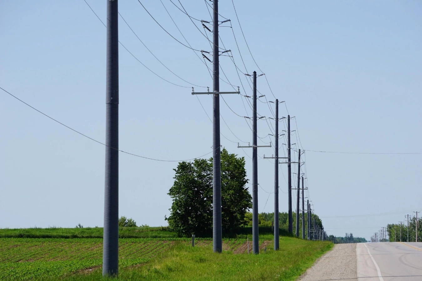 Utility Poles