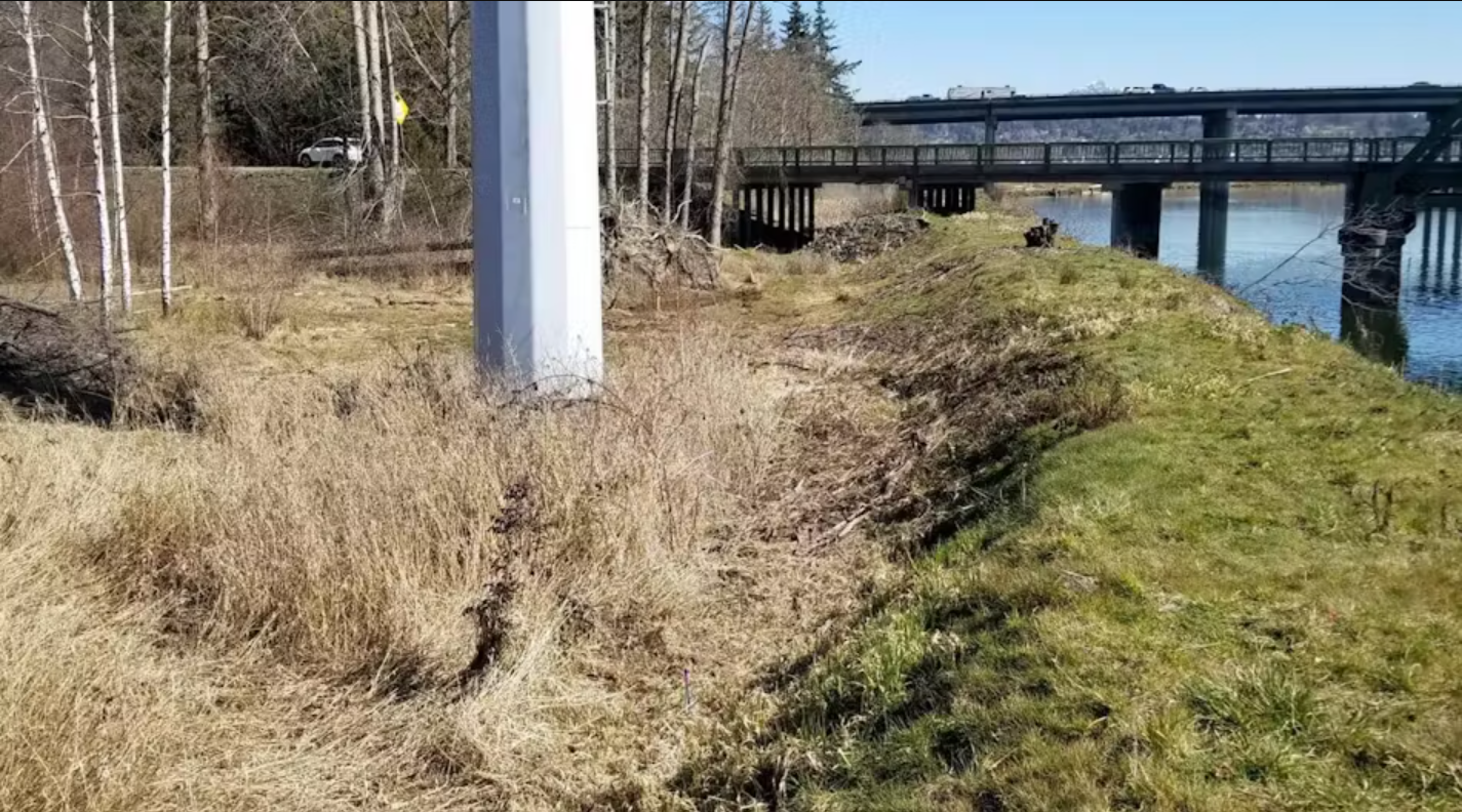 Infrastructure and Environment