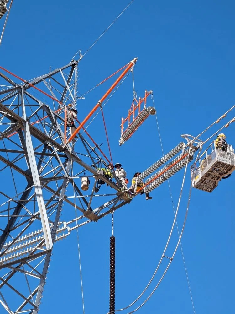 Fall Protection